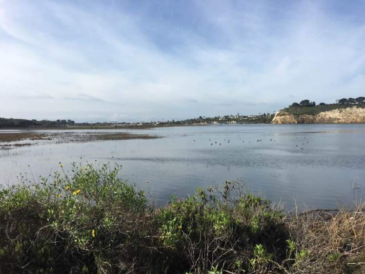 16114657_10154336495607817_148318191304396464_n