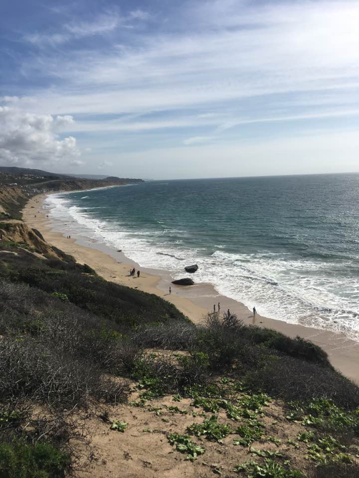 16115003_10154336960112817_1265296872349838246_n