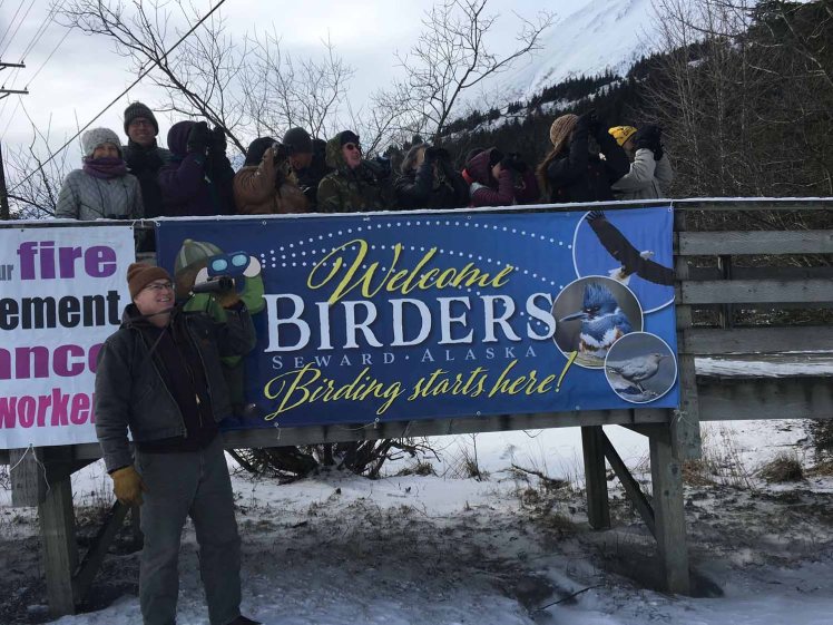 welcomebirders