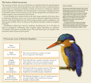 atlasofbirds bird taxonomy