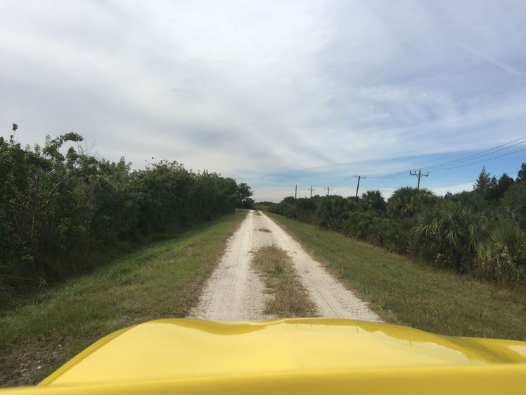 49209675_10156122319592817_8359126395292483584_o