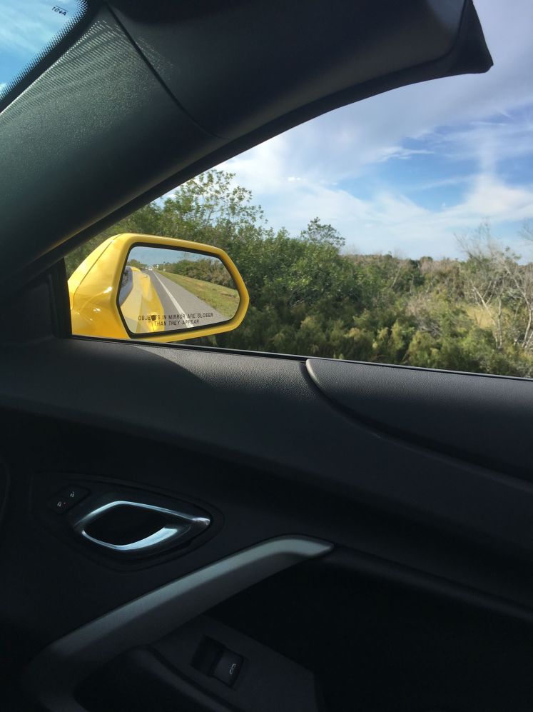 49411180_10156122319552817_6761870122819780608_o