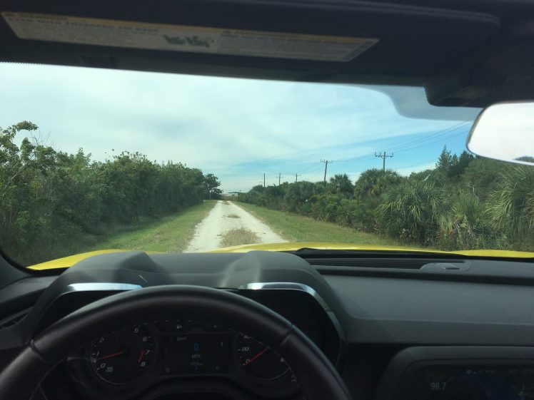 49464980_10156122319587817_8720624661496332288_o