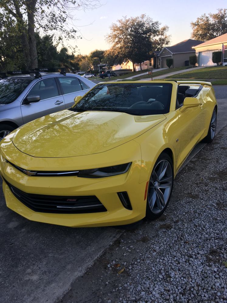 49896145_10156122319647817_5613274552223137792_o