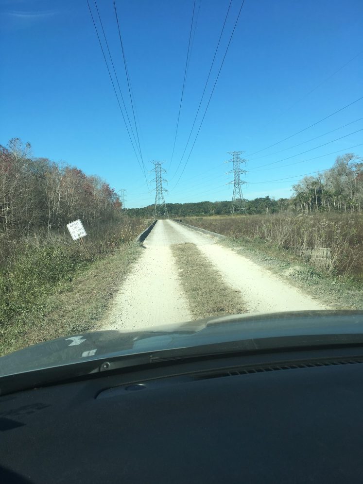 50990900_10156174314987817_1248308068211490816_o