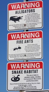 whyidontliveinflorida