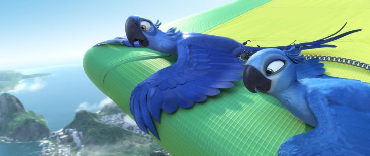 rio21