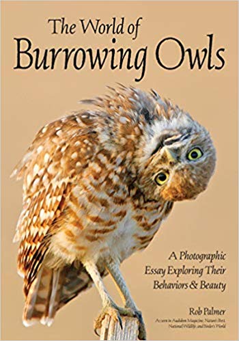 palmer burrowing owls
