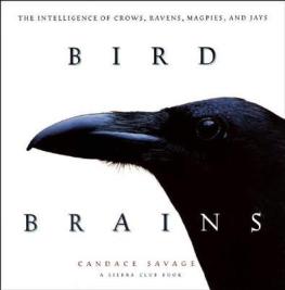 birdbrains1