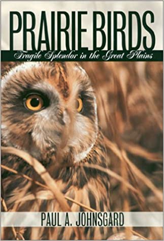 for 12 1 20 book cover